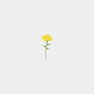물먹는하마씨 profile image