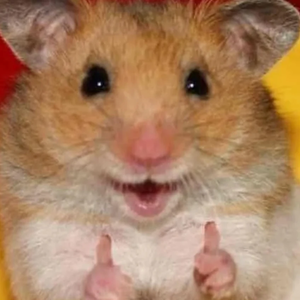 jin찐 profile image