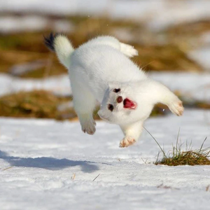 얼렁 profile image