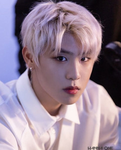 워우지 profile image