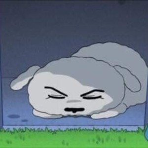 챕애 profile image