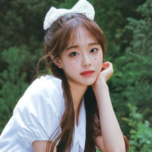 AO0 profile image