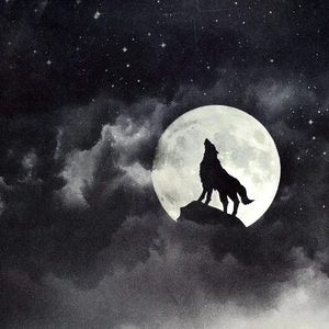 eueri⁰² profile image