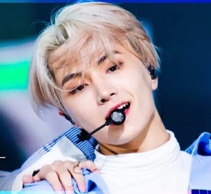 StrayLamb profile image