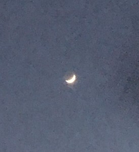 이안똘 profile image