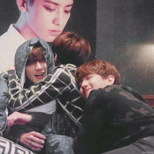 Phixo-ParkFam-1 profile image