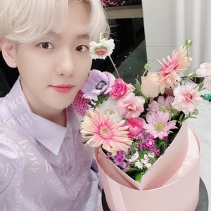 믿고듣는백현 profile image