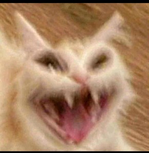 낭만고라니 profile image