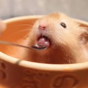 류지닝 profile image