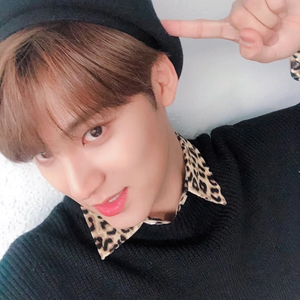 감초공장 profile image