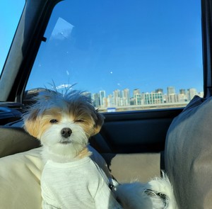 cotton9401 profile image