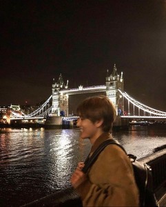 ✨Scenery✨ profile image