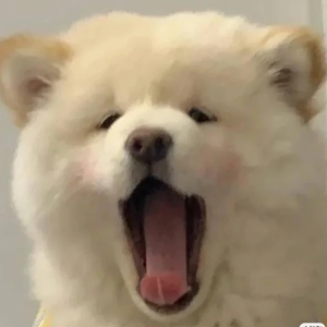 설봄s profile image