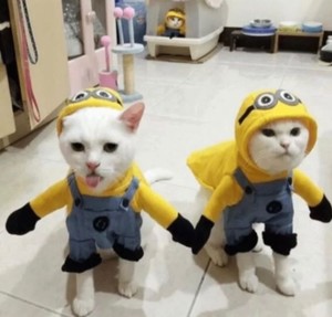 JiMoonmio profile image