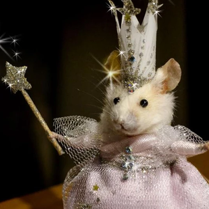 darlingchippp profile image