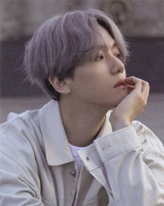 b啵虎—L profile image