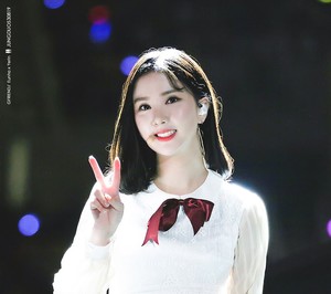 시미니이디 profile image