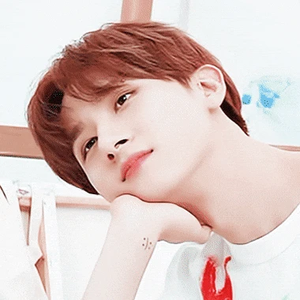 꾸궁고양이 profile image