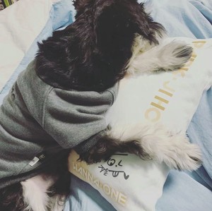 suancaiyuu profile image