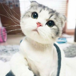 minnna profile image