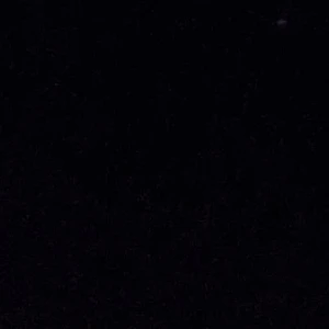 201010 profile image