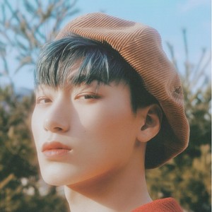 mounsanie's profile image