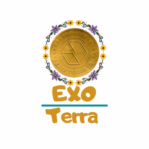 TerraTeam⁷⁸ profile image