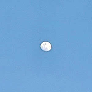 bf84eb18146e23cf27704a8f00f9cc22 profile image