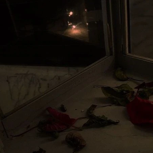 e46c4d529343f83ed9d41134ff6316ae profile image