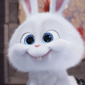 백설시루 profile image