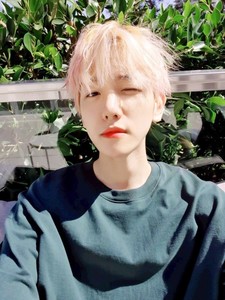 BABYBX profile image