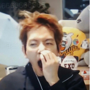 choco-baek profile image