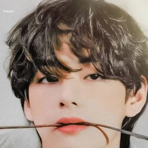 태태곰bear profile image