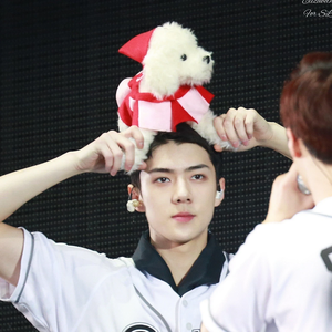 橙子校训 profile image