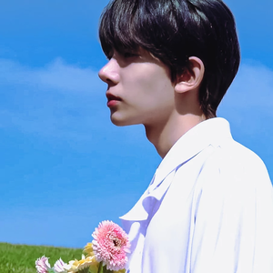 홍bambi profile image