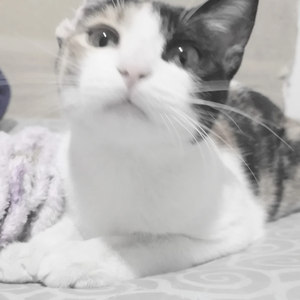 ೨ৎׅׅׅikooktluv⁰¹ profile image