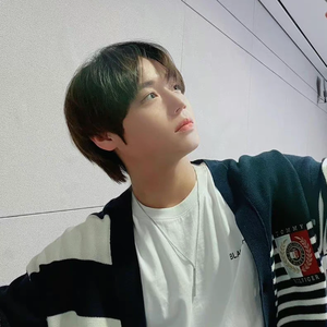 윙토hoon profile image