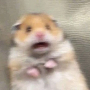 9d72ea0064652fa3bfa73a90881af3b0 profile image