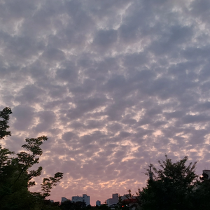 최한울ღ profile image