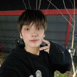 ningdungiemon profile image