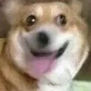 coolojia profile image