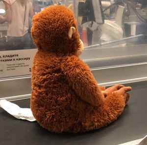 바나나나나나나나킼 profile image