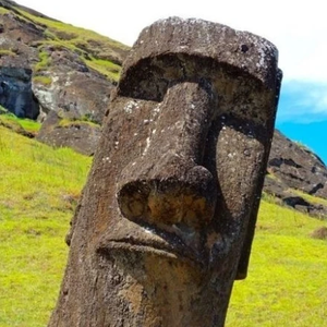 문을열어문을열어 profile image