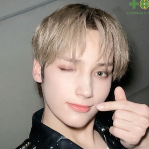 maknaehueningkai profile image