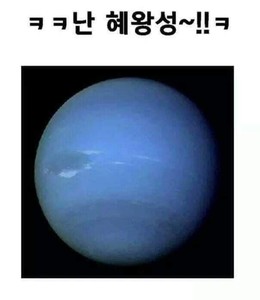 햄찌7 profile image