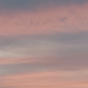 CrysAra profile image