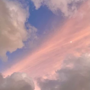 달달마카롱 profile image