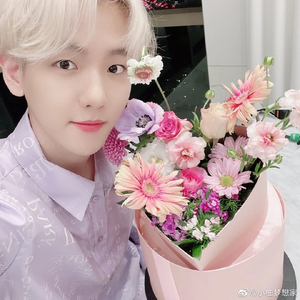 QAQbaek profile image