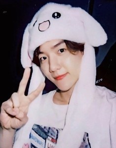 Collapasar profile image