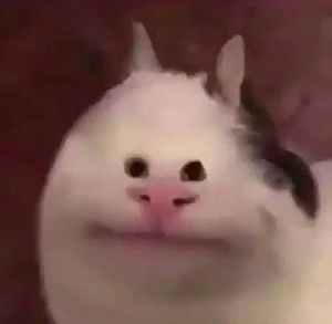 흓흓 profile image